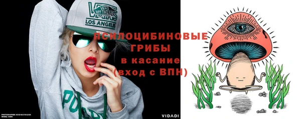 трава Снежинск