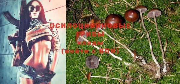 ГАЛЛЮЦИНОГЕННЫЕ ГРИБЫ Семикаракорск