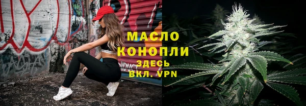 дживик Снежногорск