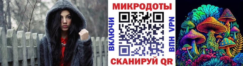 Галлюциногенные грибы Psilocybe  Купить где  Усть-Джегута 