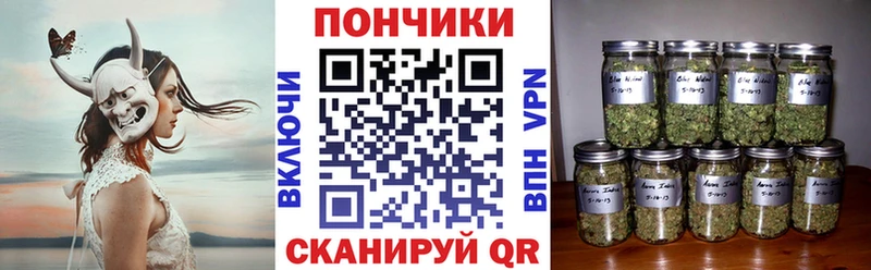 Купить закладки  Усть-Джегута  МАРИХУАНА ГИДРОПОН 